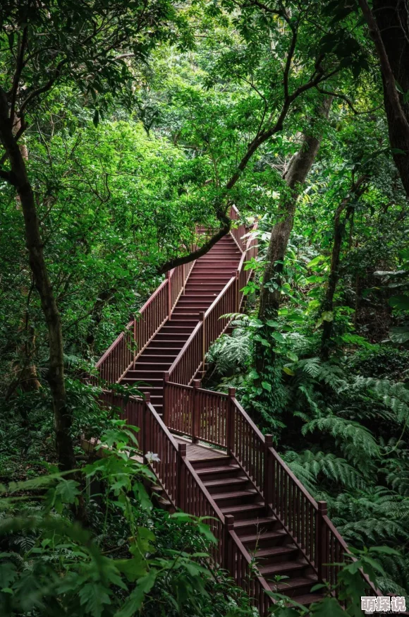 地铁逃生新赛季探索：恐龙出没神秘地点大揭秘指南