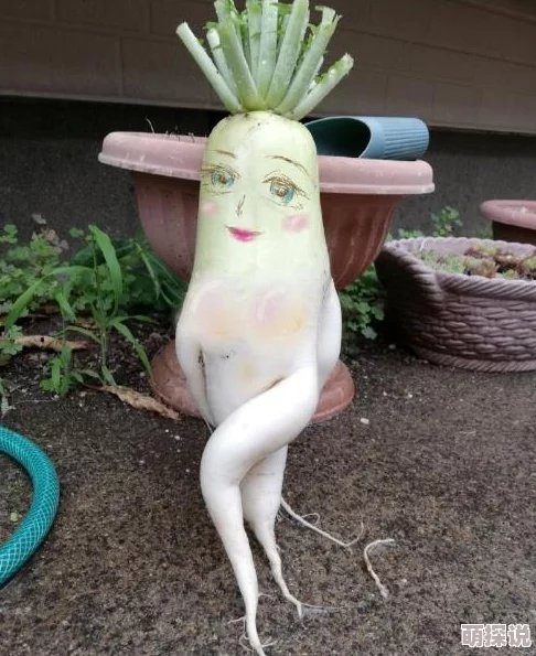 拨萝卜动漫有哪一些？本文将为您详细介绍各种类型的拨萝卜相关动漫作品及其特点