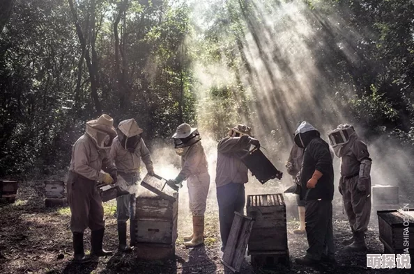 震撼揭晓！xaxwaswaswasxilxiserikkino评测：你绝对想不到的惊人表现与隐藏功能