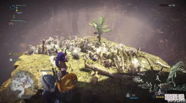 怪物猎人游戏中探索：寻找龙苔最多的神秘区域指南
