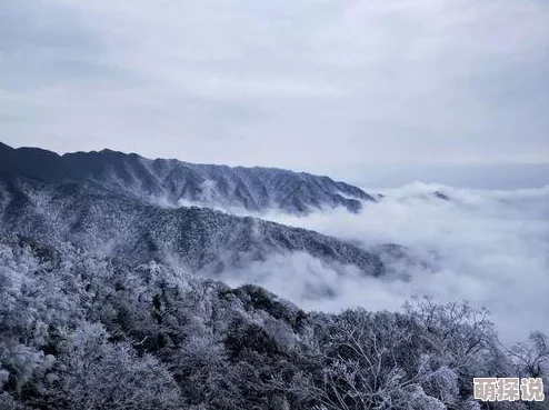 2024年精选开放大世界游戏合集,探索无尽乐趣:哪些耐玩游戏不容错过? 2024年精选开放大世界游戏合集,探索无尽乐趣:哪些耐玩游戏不容错过?