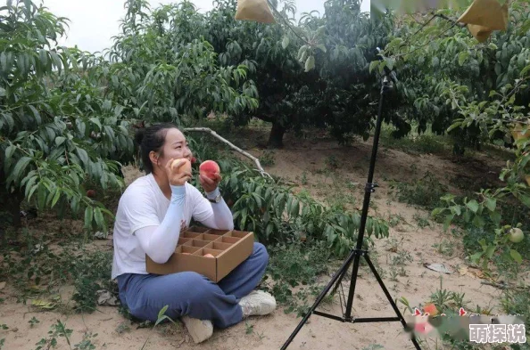 水蜜桃一二二专区：专注于优质水蜜桃的种植、销售与推广，致力于为消费者提供新鲜、美味的水果体验