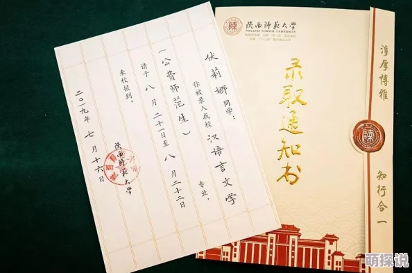 最好看了2019年中文，那些震撼人心的作品和背后的故事让人热泪盈眶！