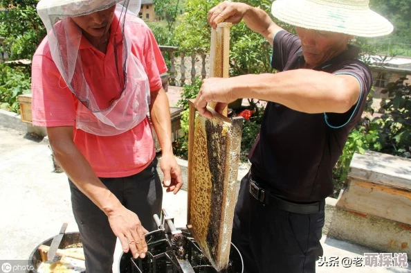 蛊惑的幼虫7 0魔改:震撼发布引发玩家热议,超越前作的惊艳创新与玩法进化! 蛊惑的幼虫7 0魔改:震撼发布引发玩家热议,超越前作的惊艳创新与玩法进化!