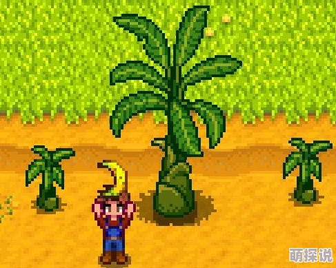 星露谷物语：挖掘哪种矿石最赚钱，高效挖矿策略揭秘