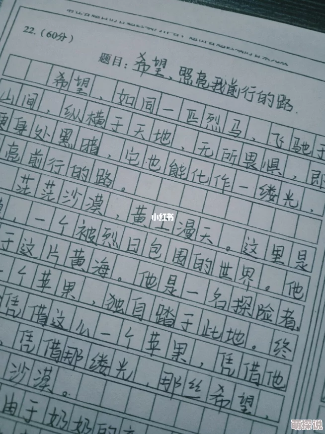 506寝室的灯灭了小莲的作文300字，讲述了她在黑暗中寻找光明与希望的心路历程