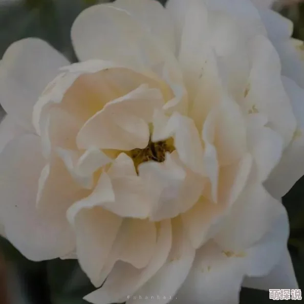 男女拔萝卜挤酸奶不盖被子，引发全国热议，网友热评：这究竟是一场什么样的奇葩活动！