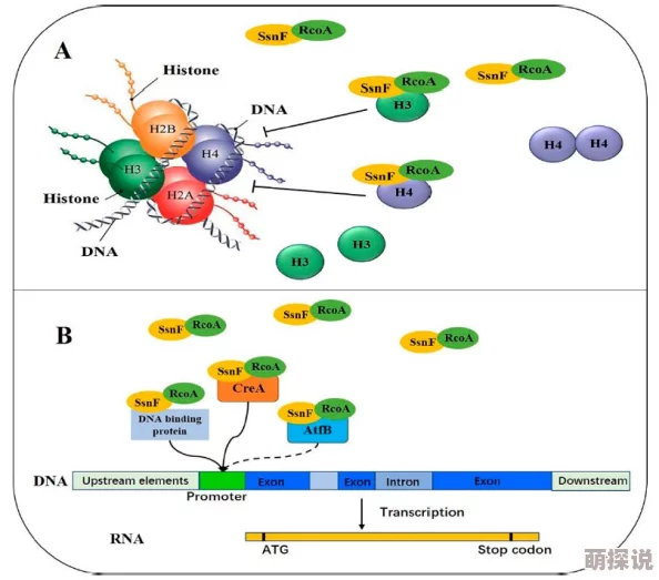 无人区编码6229Jm观：对极端环境下生物适应机制的研究与分析