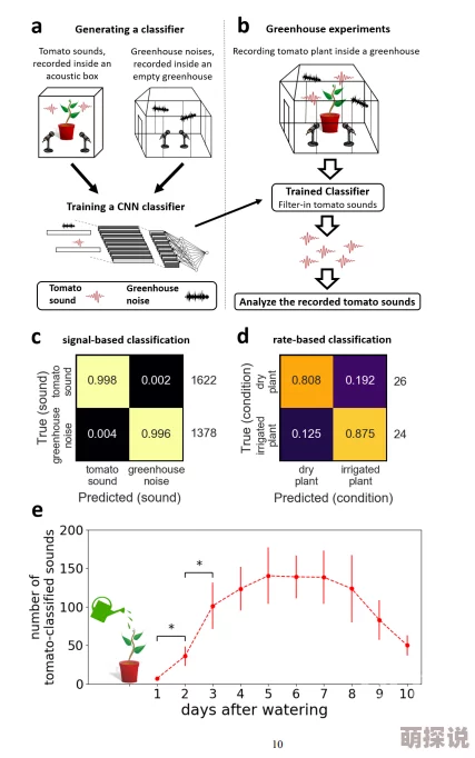 无人区编码6229Jm观：对极端环境下生物适应机制的研究与分析