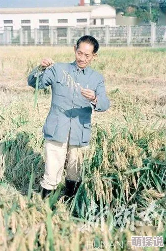 探索二人性生生活片：在亲密关系中发现爱的深度与生活的多样性