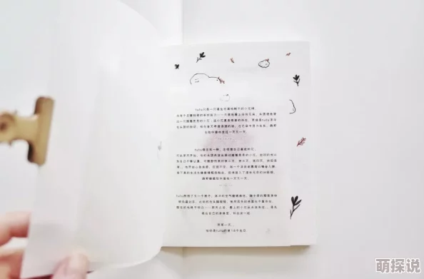 ssspics：最新动态揭示了这一系列图片背后的故事与创作灵感，带你深入了解艺术家的独特视角与表达方式
