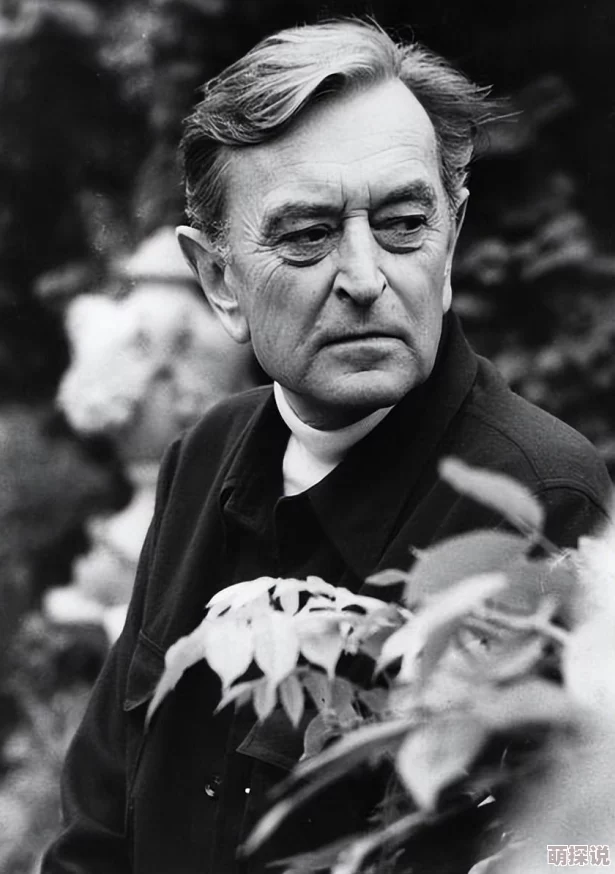 好男人看的在线www视频二网友认为这部影片情节紧凑，演员表现出色，值得一看，尤其适合喜欢深度剧情的观众