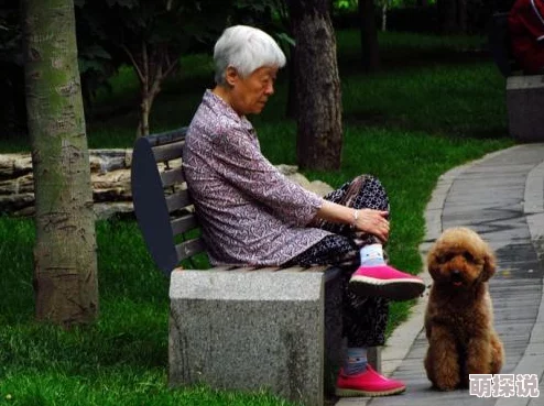 欧美老妇与禽杂恔配，这种搭配真是让人感到不可思议，文化差异太大了