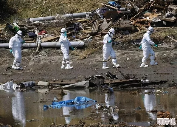 日本我和子的乱视频,真是让人震惊,这种内容怎么会被传播出来! 日本我和子的乱视频,真是让人震惊,这种内容怎么会被传播出来!