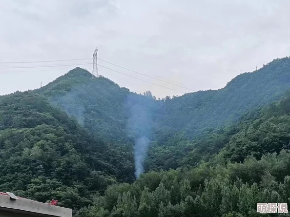 国产第一页在线视频：最新动态显示该平台用户增长迅速，内容更新频繁，吸引了大量年轻观众的关注与参与