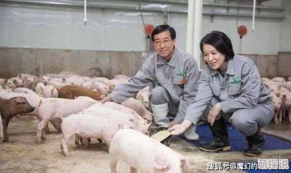 女人与公豬交交网友认为这种行为不符合社会伦理，可能引发对动物权益的讨论，同时也反映出人们对性别和性关系的不同看法