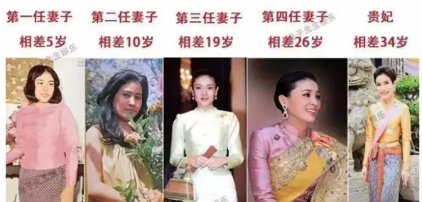 泰国电视剧一夫两妻网友认为该剧情节新颖，挑战传统婚姻观念，引发热议，部分观众表示支持多元化家庭形式