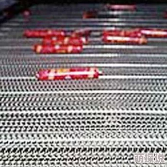 x9x9x9x9任意槽2024进口，期待这款产品能带来更好的使用体验和性能提升！