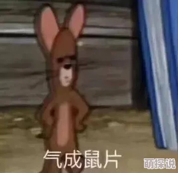 好爽好深好猛好舒服视频上网友纷纷表示这个视频让人欲罢不能，画面质量极高，情节紧凑，非常值得一看