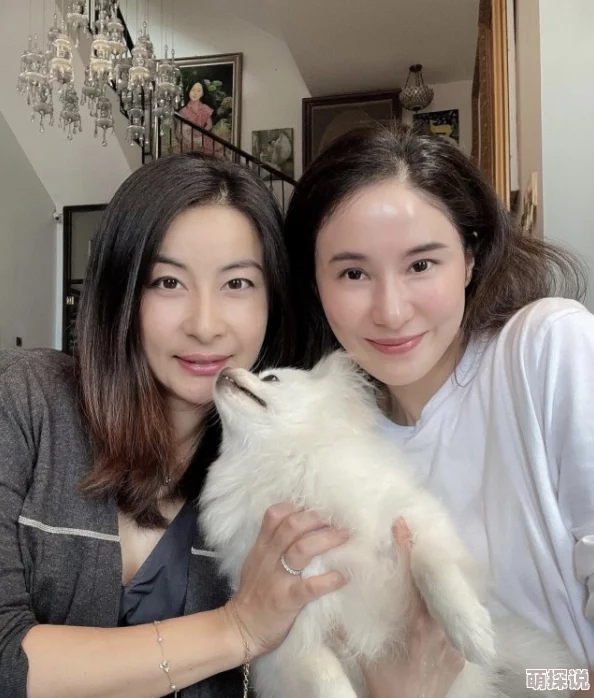 被夫好友侵犯中文字幕影音网友认为这部作品揭示了复杂的人际关系和道德困境,引发了广泛讨论与反思,值得一看 被夫好友侵犯中文字幕影音网友认为这部作品揭示了复杂的人际关系和道德困境,引发了广泛讨论与反思,值得一看