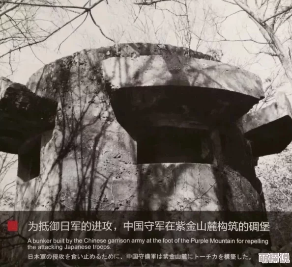 熟睡中被公夜袭深田咏美在线观看最新进展消息引发网友热议相关视频已在多个平台上被删除并进行审查