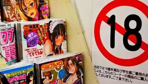 日本黄大片最新进展消息：日本政府加强对成人内容产业的监管措施以保护未成年人并打击非法活动
