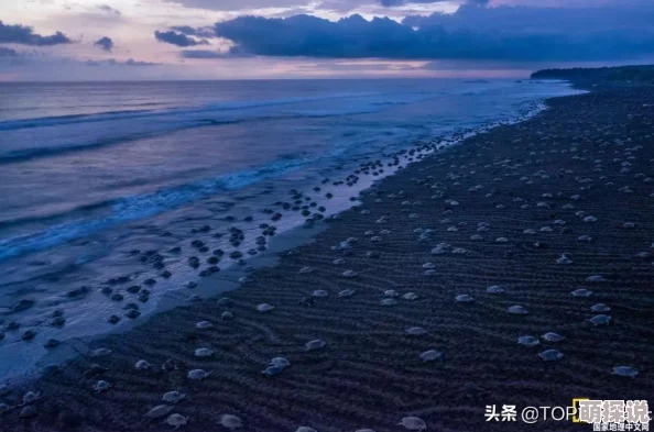 全面揭秘：暴走地下城大冒险系统玩法内容，深度探索奇幻之旅