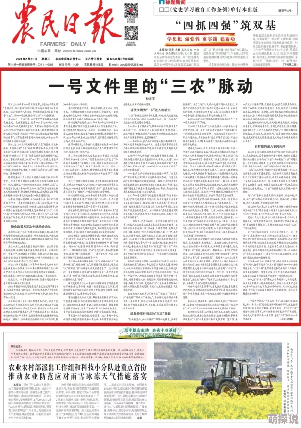 国产乡下三级全黄三级乡村振兴计划启动农民生活改善显著