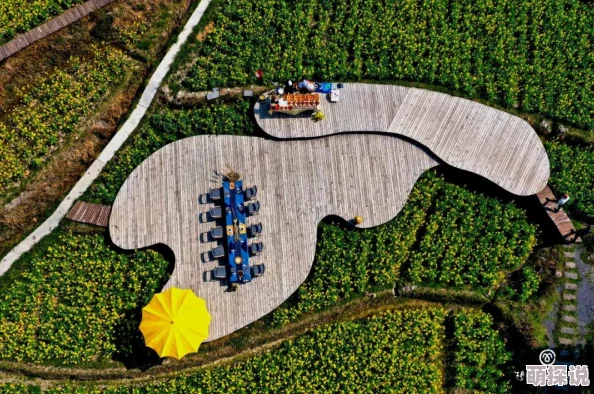 暖暖环游世界日本区域1 S级搭配全解析：010关卡七色花田绝美装扮攻略