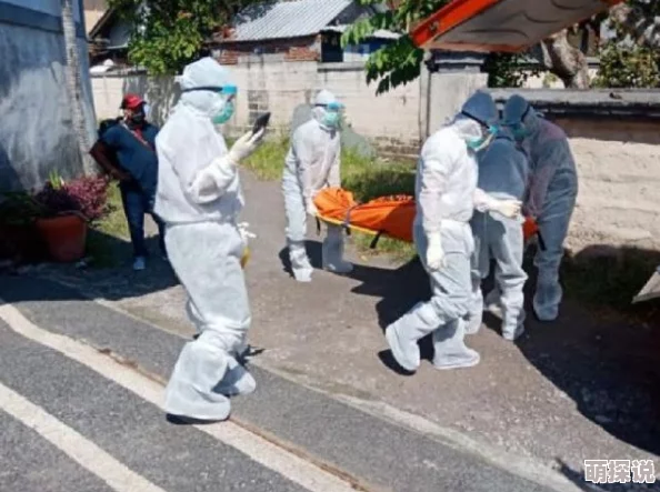 猫和老鼠手游：掌握变身饮料最佳使用策略，助你游戏制胜30招