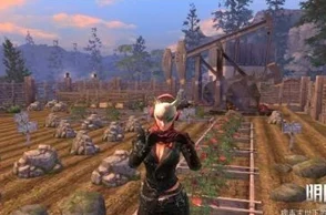 明日之后游戏内玫瑰花使用方法详解：打造浪漫互动新体验指南