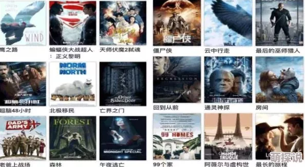 欧美日韩国产一二区综合资源丰富分类清晰观影体验佳