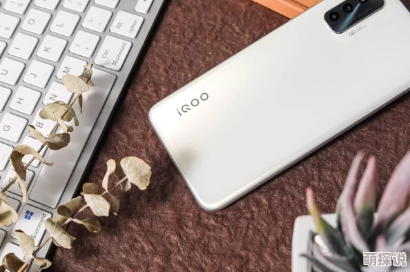 好男人社区在线www影视观看网友推荐这个平台提供丰富的影视资源更新及时画质清晰是追剧爱好者的不二选择