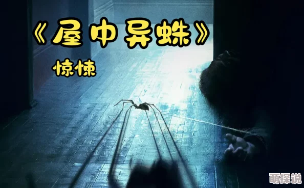 特级一级毛片视频免费观看屋中异蛛