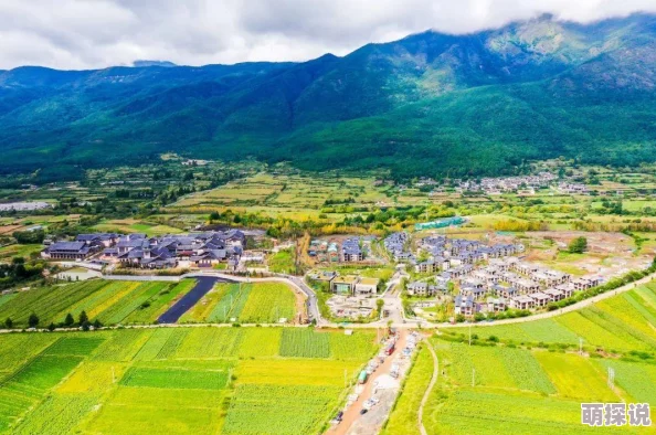 明日之后玩家必看：营地住房精选指南，哪里才是你的理想居所推荐