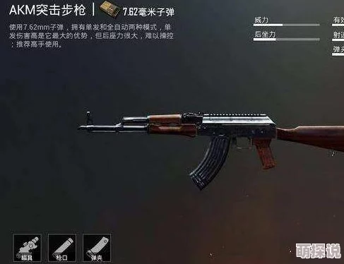 全面解析：黎明之路步枪使用技巧与攻略大全，助你战场称雄秘籍