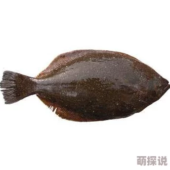 牛鞭刺进了女人的身体h飞奔去月球（国语版）