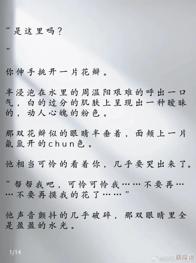 双男主车书这个地方