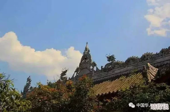 亚洲精品中文字幕久久久楼王之迷