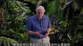 51吃瓜爆料大卫·艾登堡:大自然的声音 51吃瓜爆料大卫·艾登堡:大自然的声音