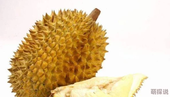 榴莲色斑让你流连忘返503最近发现了一种新品种的榴莲味道更浓郁