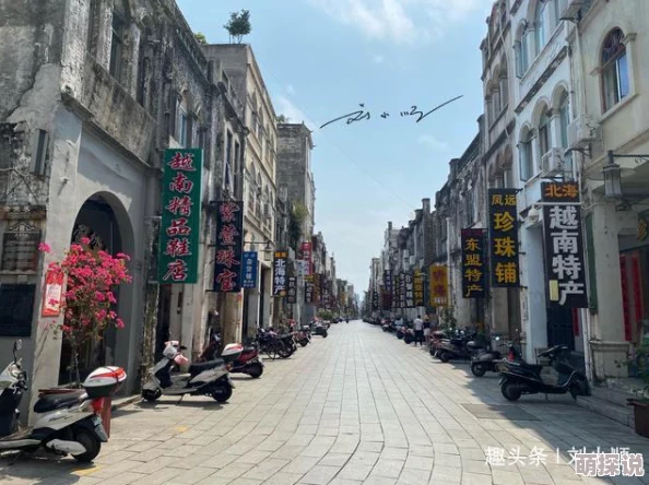 欧美一级级a在线观看余生，请多指教
