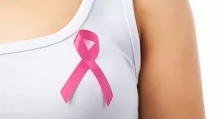 乳房的图片展示女性身体结构，强调健康与美的重要性