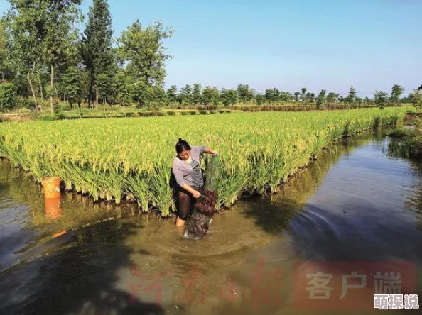 乡村熟丨妇性旺盛村里新开农家乐生意火爆游客络绎不绝