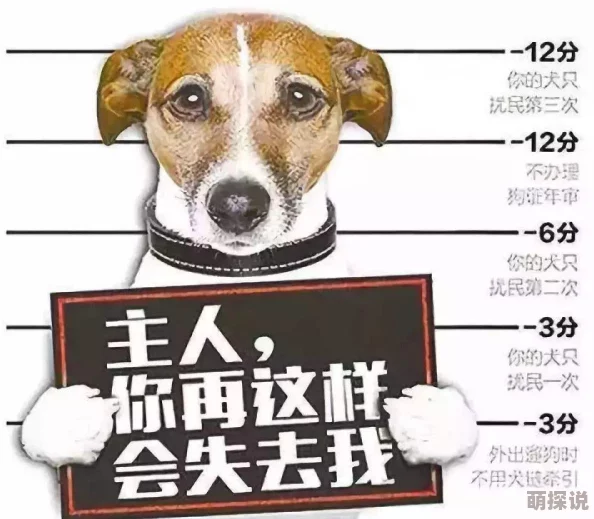 人狗胶配方大全狗狗乡村神医