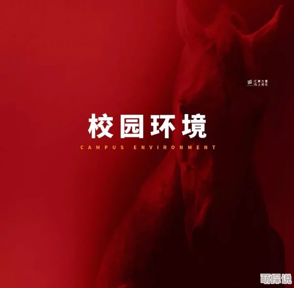 红楼之臻玉画室惊魂心怀梦想勇敢追逐创造美好未来