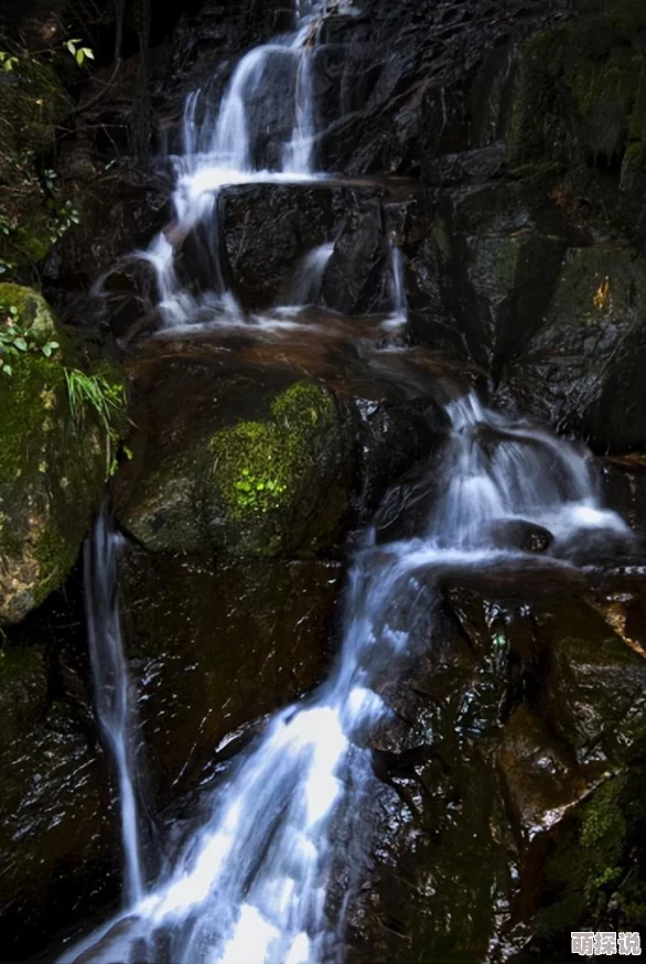 玄元剑仙洞府资源全面解析：珍稀矿石、灵草灵药及神秘宝箱一网打尽
