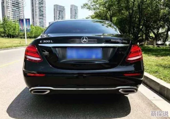 惊喜揭秘！艾尔法登环哪个结局更胜一筹，内含未曾公开的完美选择指南