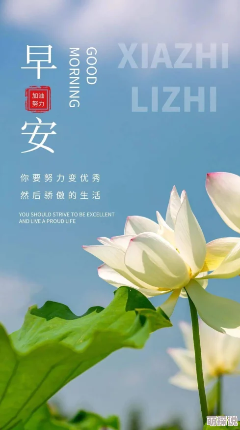 阳春小说全文免费阅读生活充满希望与美好每一天都是新的开始