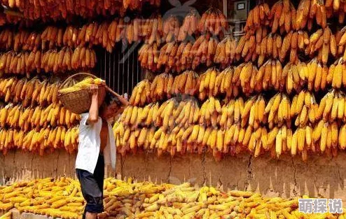 惊喜揭秘！DNF历年节日套属性大比拼，今年这套竟然更胜一筹！